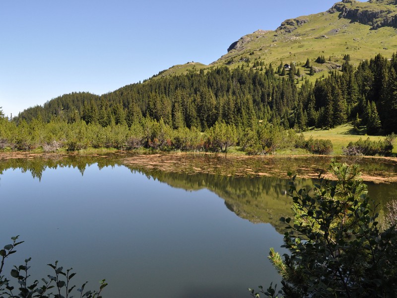 Escursione all''Alp Flix - Torbiera di Lai Neir (Svizzera)