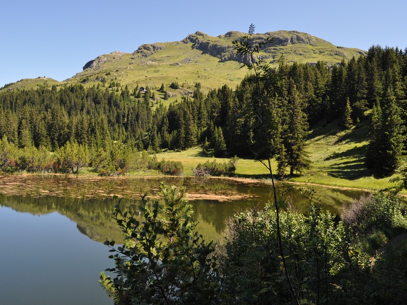 Escursione all''Alp Flix - Torbiera di Lai Neir (Svizzera)