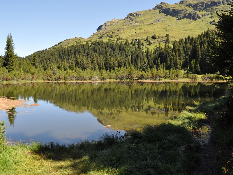 Escursione all''Alp Flix - Torbiera di Lai Neir (Svizzera)