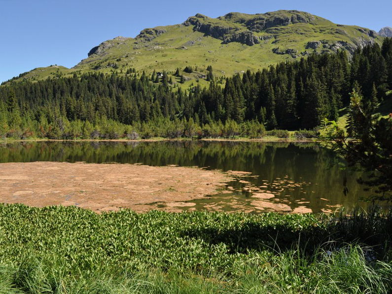 Escursione all''Alp Flix - Torbiera di Lai Neir (Svizzera)