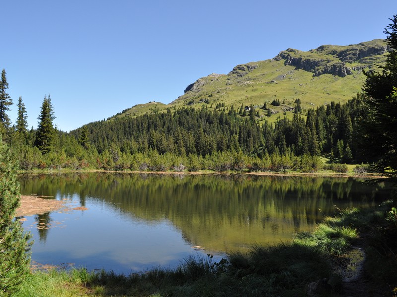 Escursione all''Alp Flix - Torbiera di Lai Neir (Svizzera)