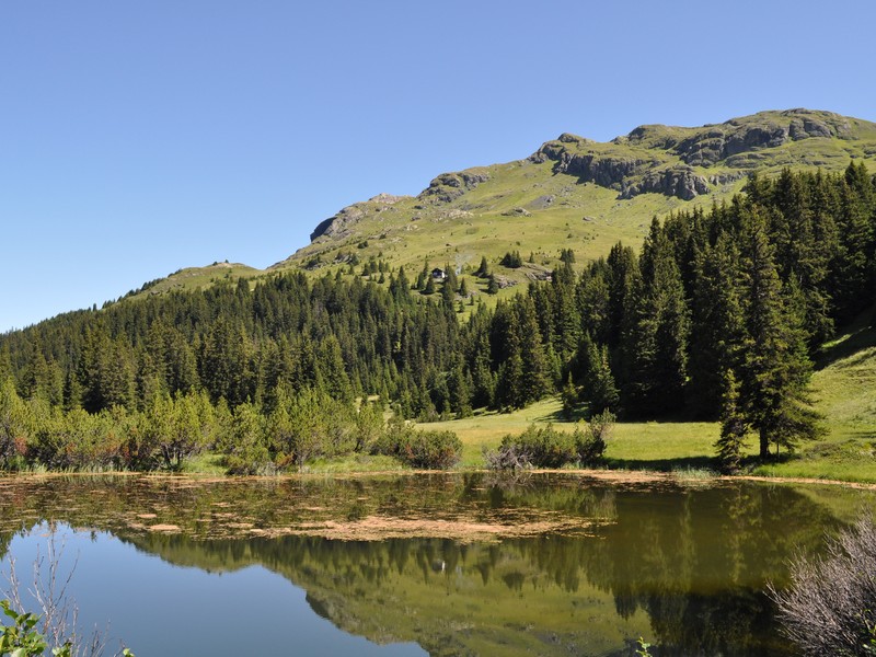 Escursione all''Alp Flix - Torbiera di Lai Neir (Svizzera)