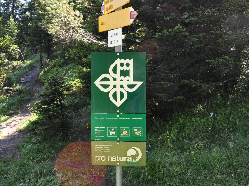 Escursione all''Alp Flix - Torbiera di Lai Neir (Svizzera)