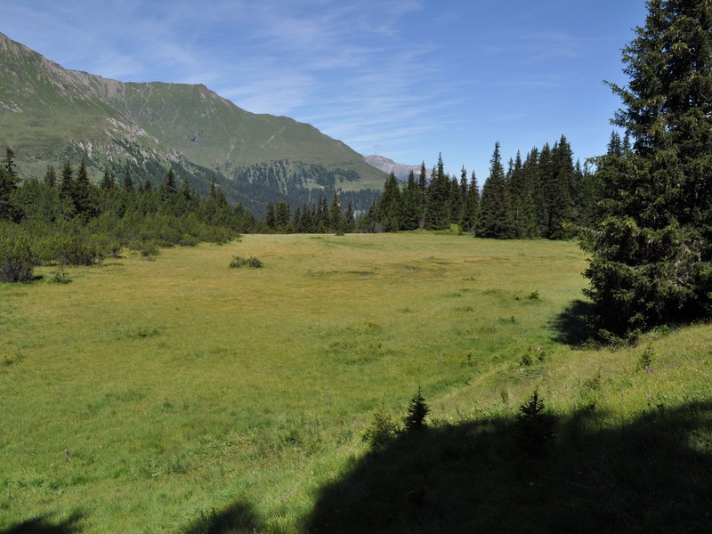 Escursione all''Alp Flix - Torbiera di Lai Neir (Svizzera)