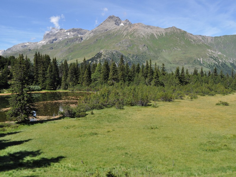 Escursione all''Alp Flix - Torbiera di Lai Neir (Svizzera)