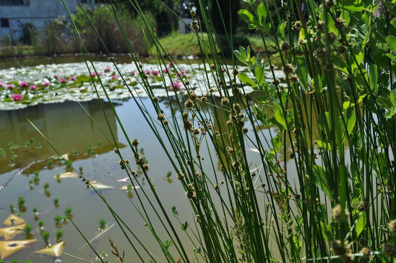 Bisogno di aiuto in Provincia di Ascoli