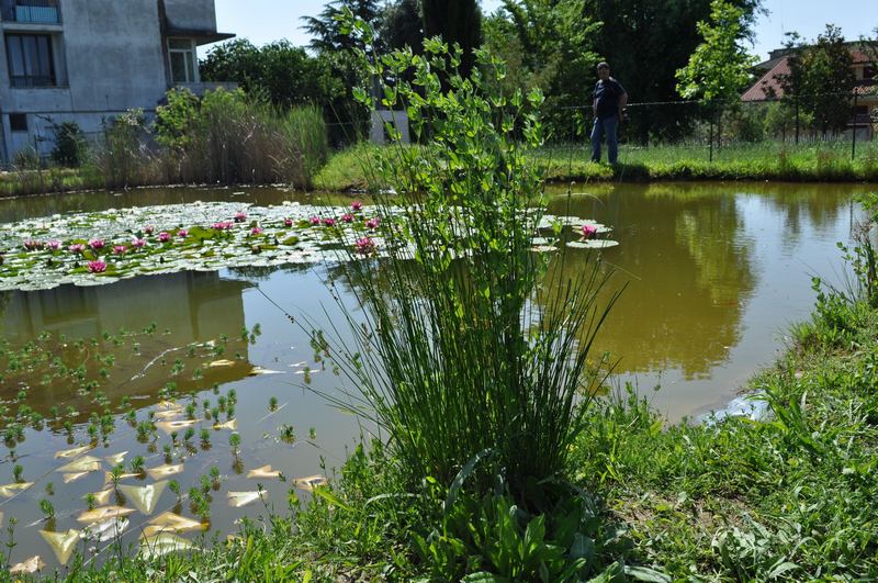 Bisogno di aiuto in Provincia di Ascoli