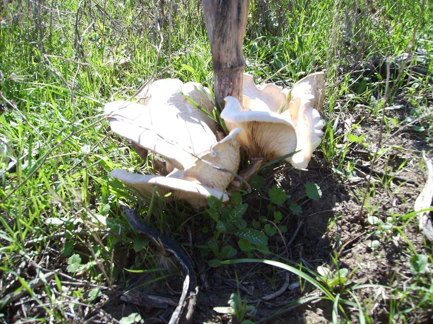 Escursioni nel Lazio