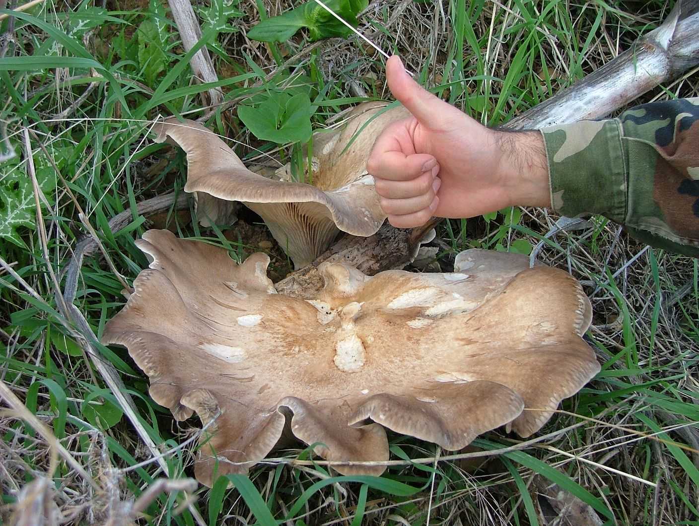 Escursioni nel Lazio