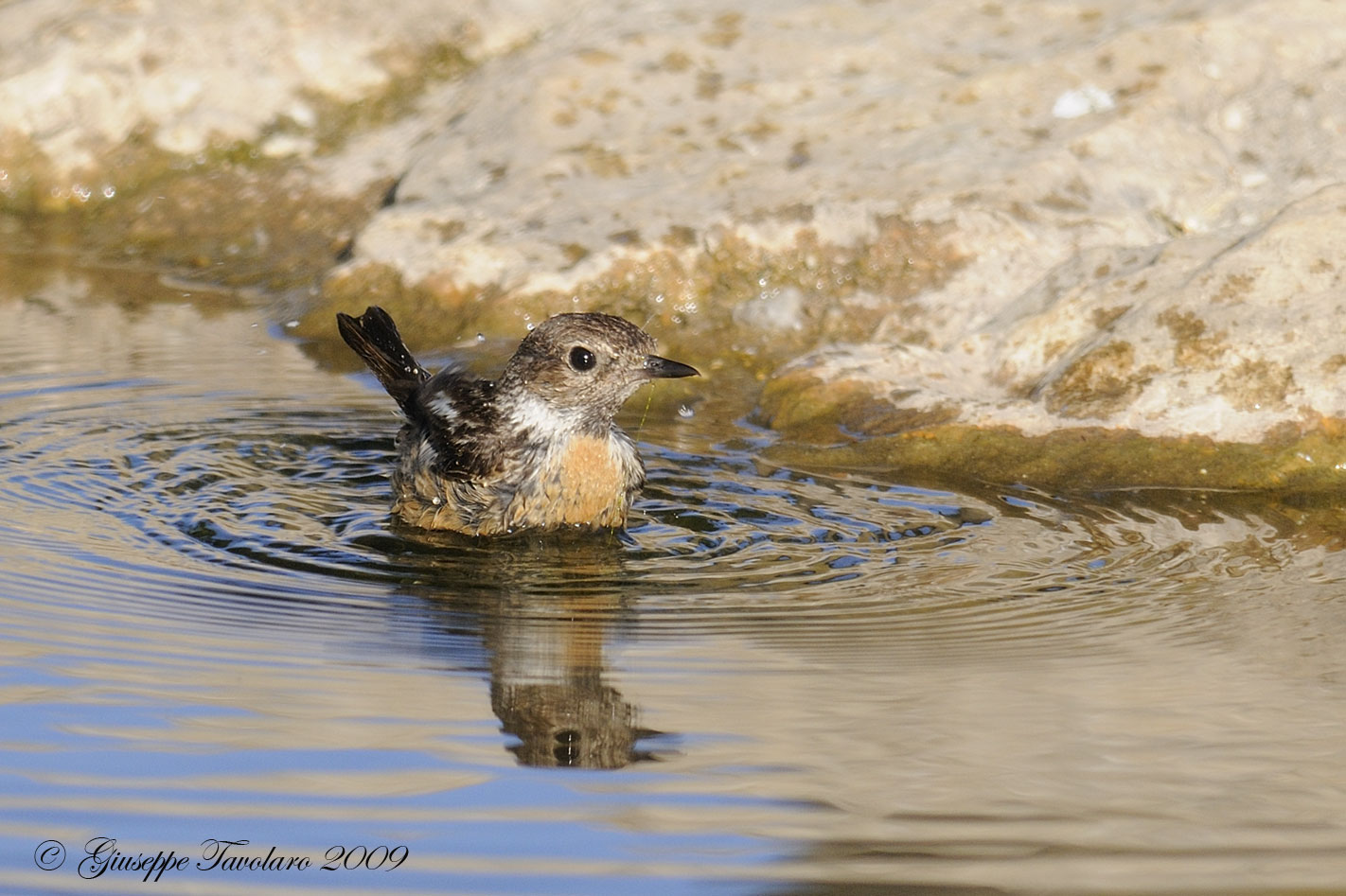 Chi sta facendo il bagno? QUIZ FACILE FACILE.