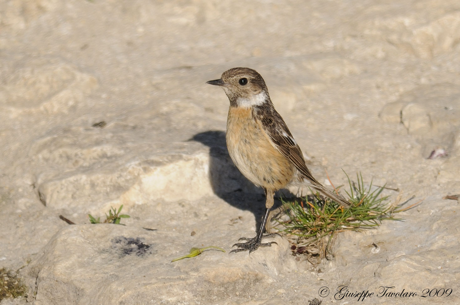Chi sta facendo il bagno? QUIZ FACILE FACILE.