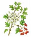 l''abbraccio della natura
