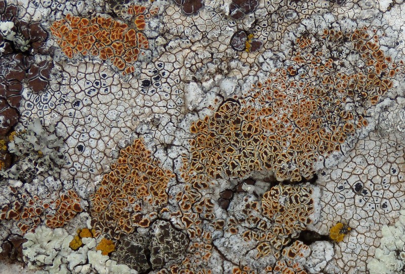 ancora dalla vetta del M. Navegna