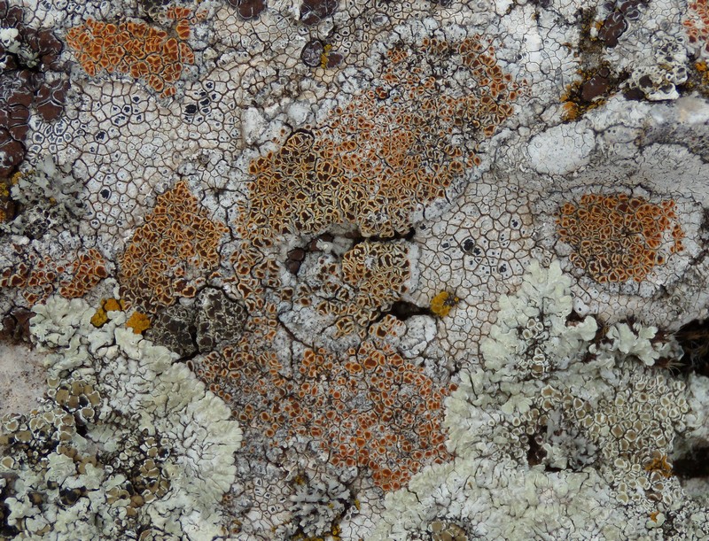 ancora dalla vetta del M. Navegna