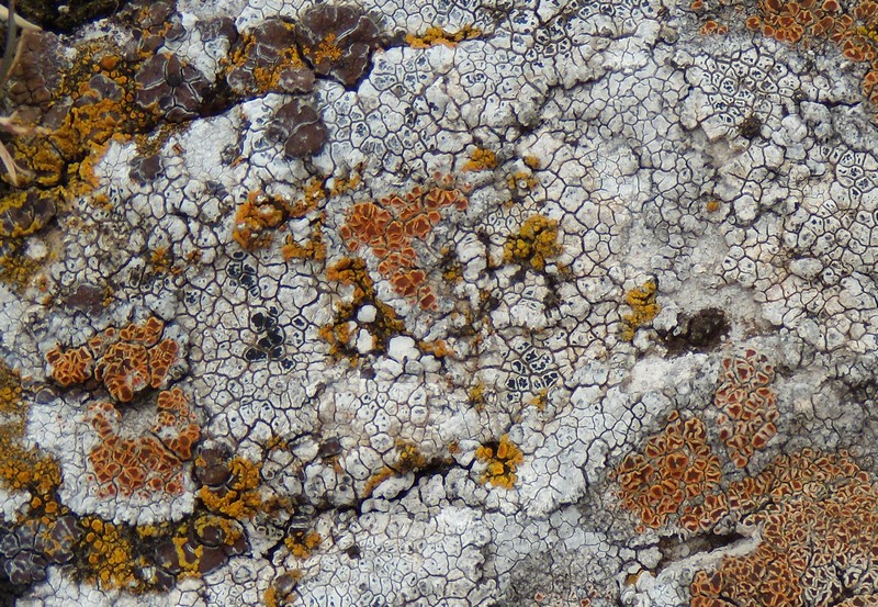 ancora dalla vetta del M. Navegna