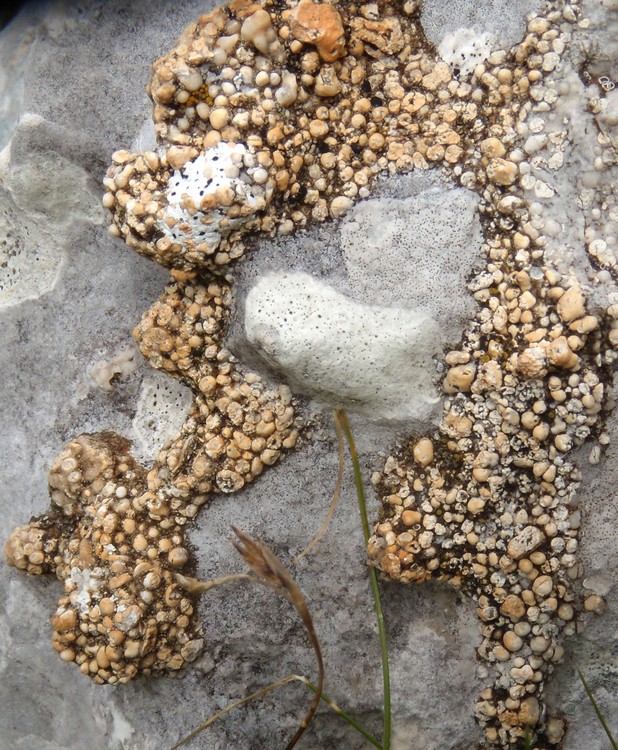 ancora dai Monti della Meta