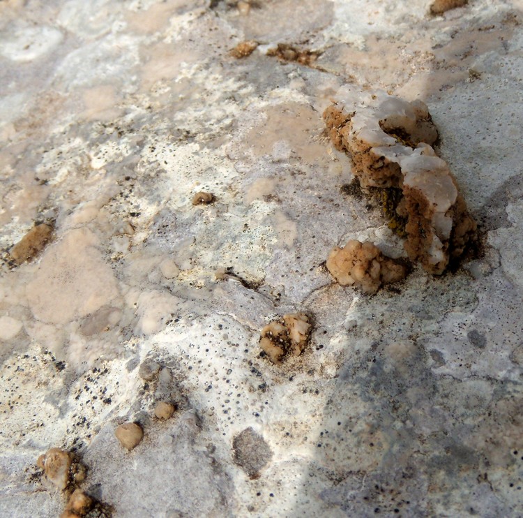 ancora dai Monti della Meta