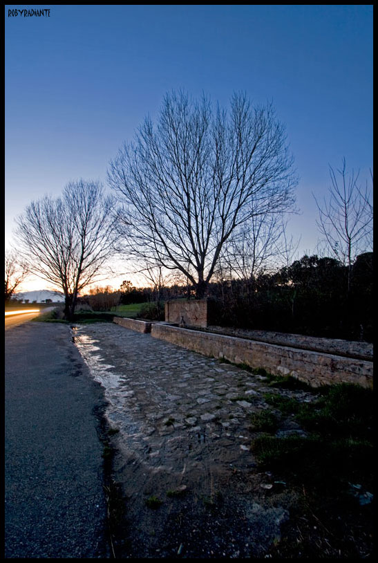 Fontanili della Toscana