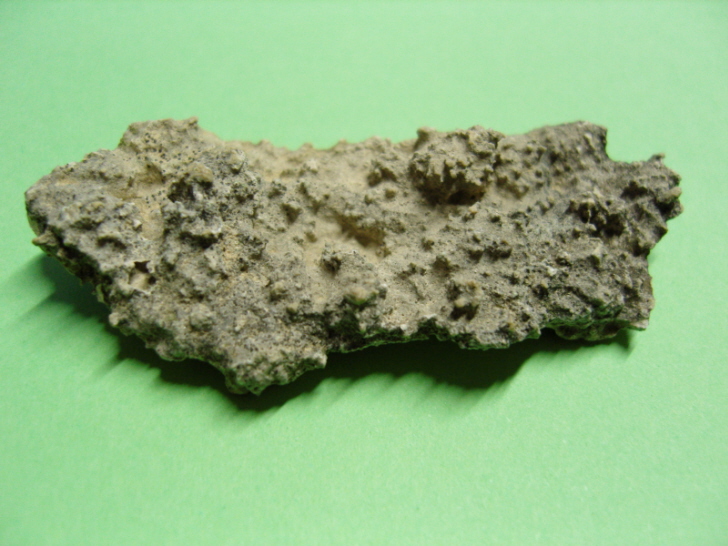 Fossile?