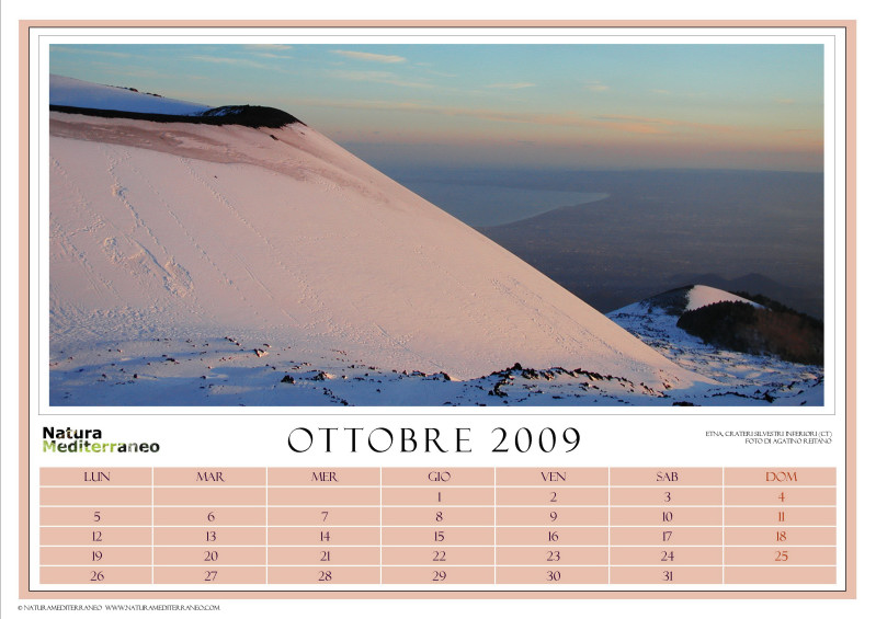 CALENDARIO 2009 di NM on line