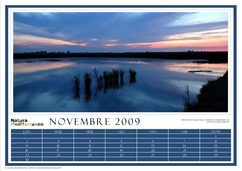 CALENDARIO 2009 di NM on line