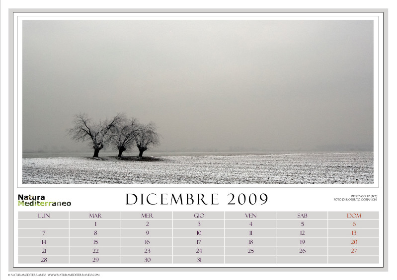 CALENDARIO 2009 di NM on line