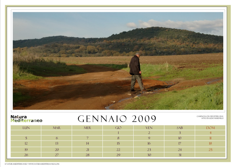 CALENDARIO 2009 di NM on line