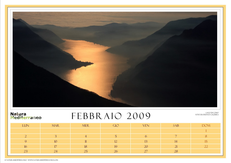 CALENDARIO 2009 di NM on line