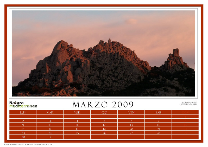 CALENDARIO 2009 di NM on line