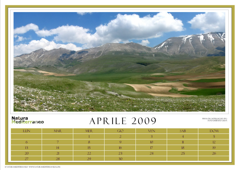 CALENDARIO 2009 di NM on line
