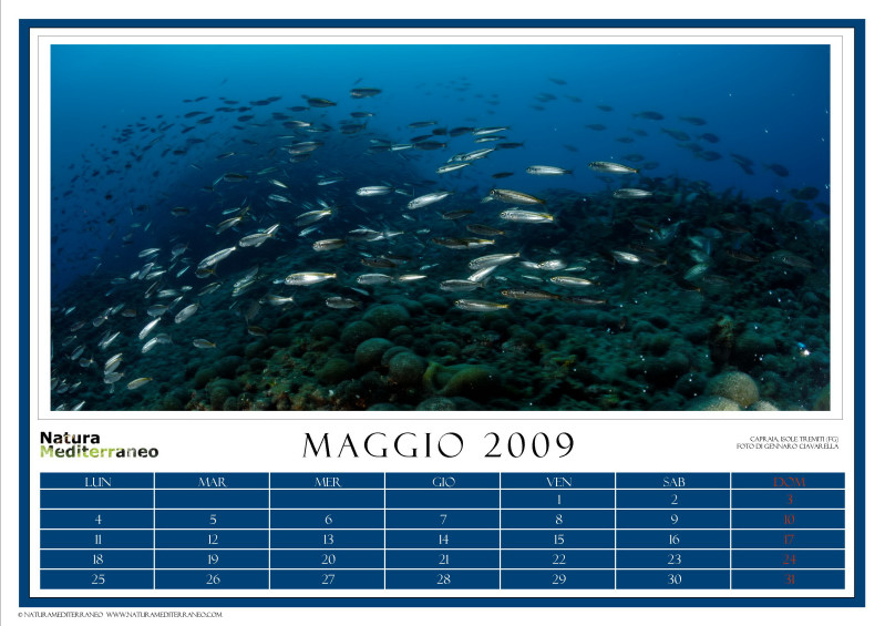 CALENDARIO 2009 di NM on line