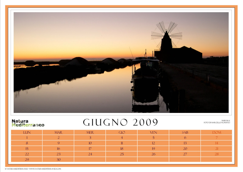 CALENDARIO 2009 di NM on line