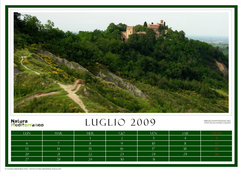 CALENDARIO 2009 di NM on line
