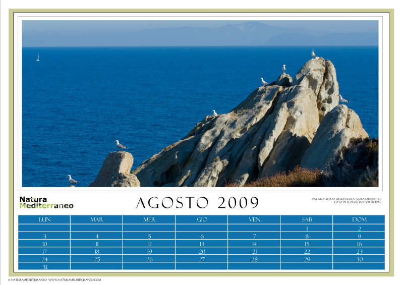 CALENDARIO 2009 di NM on line