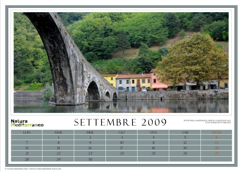 CALENDARIO 2009 di NM on line