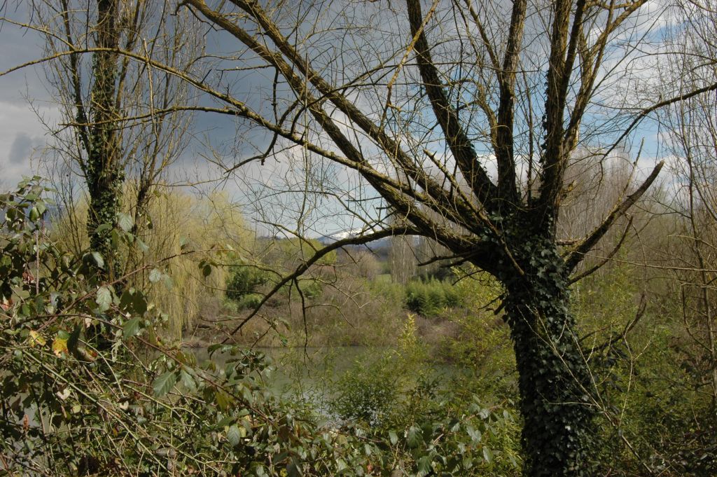 Primo Convegno Natura Mediterraneo 20 - 21 MARZO 2010