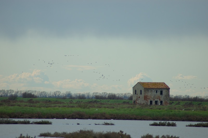 Comacchio, le sue valli e la salina
