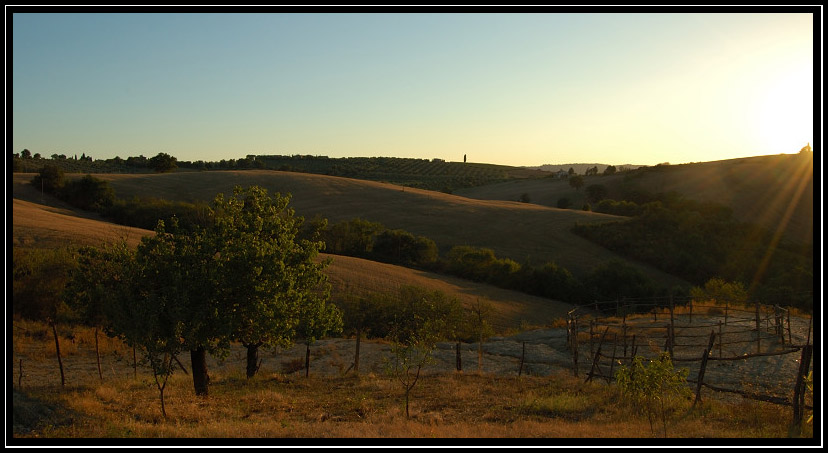 Porrona e la campagna grossetana