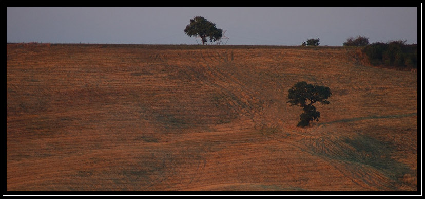 Porrona e la campagna grossetana