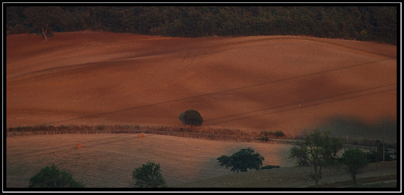 Porrona e la campagna grossetana