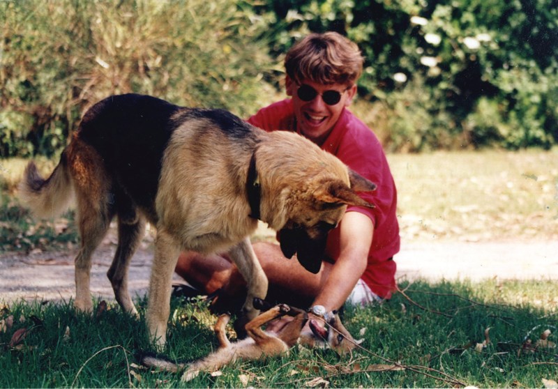 La volpe