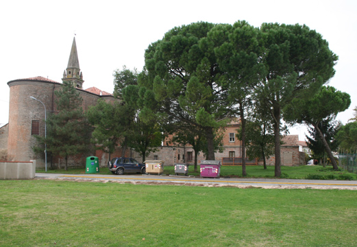 Roost gufi in pericolo ad Ostellato (Fe)