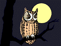 Roost gufi in pericolo ad Ostellato (Fe)