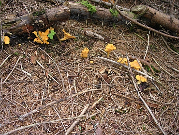 In attesa che la situazione migliori