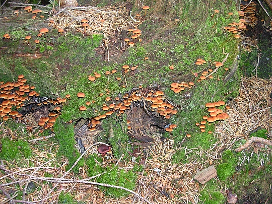 In attesa che la situazione migliori