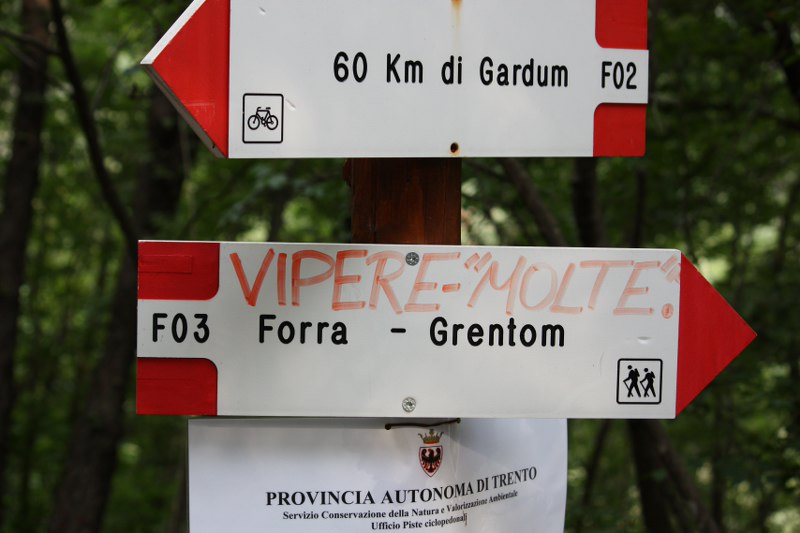 qualche sauro ma zero serpenti al lago di Loppio(trentinoSud