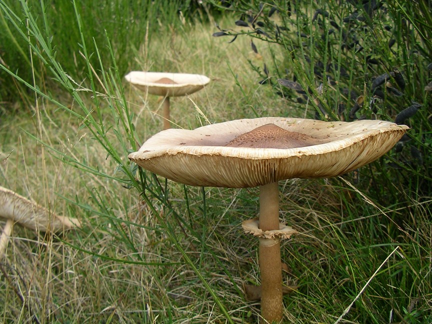 escursione appennino aretino