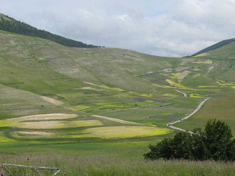 Le verdi terre...