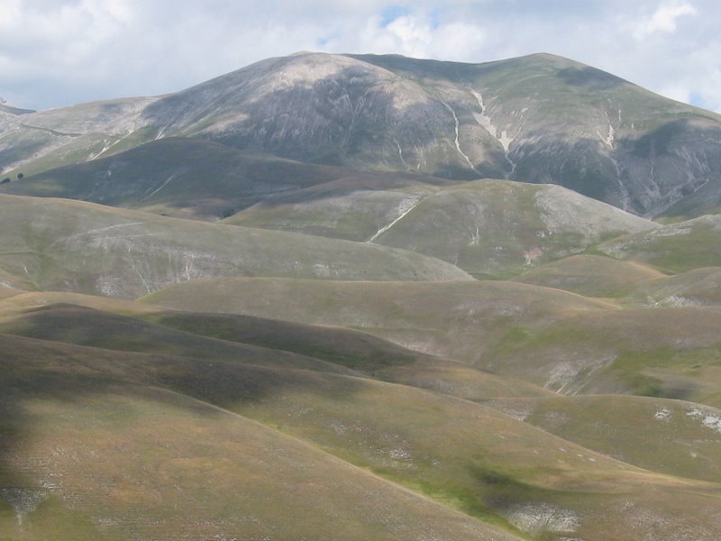 Le verdi terre...