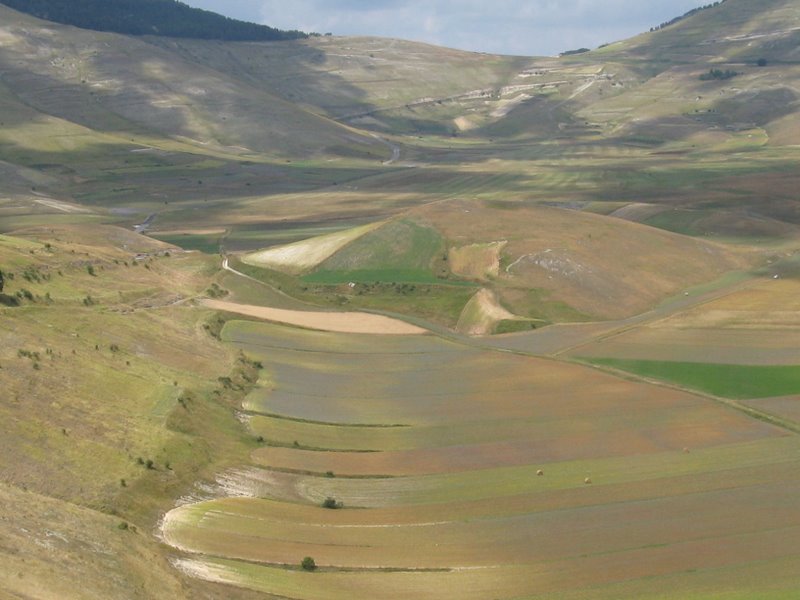 Le verdi terre...